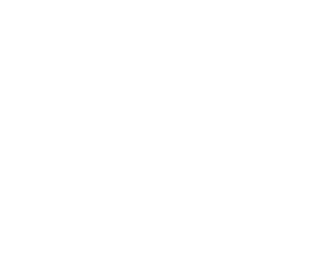 Classic 21